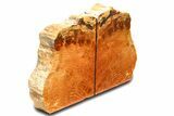 Tall, Arizona Petrified Wood Bookends - Red/Orange #307176-2